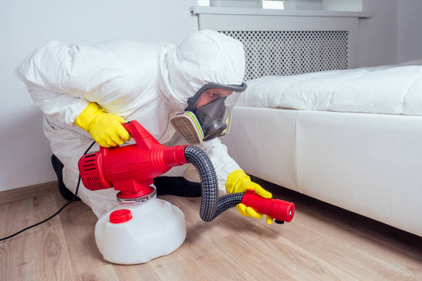 Professional Pest Control in New Bedford, MA