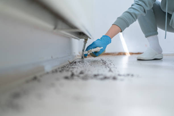 Best Pest Control Near Me  in New Bedford, MA